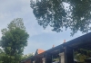 HẺM XE HƠI NGUYỄN THỊ THẬP Q7 - HIẾM TRONG TẦM GI.Á.HÀ NGANG 5x25 - CHƯA ĐẾN 50TR/M LH TÂM NHÀ ĐẸP 0849131413