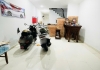 ???? NHÀ HXH 76M2 3TẦNG 4PN NGANG 4M SHR HOÀN CÔNG ĐỦ GIÁ 8,5Tỷ LH 0949351891 MR TOAN