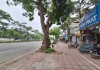 ???????? SIÊU HIẾM – MẶT PHỐ NGÔ GIA TỰ – 2 MẶT NGÕ – VỈA HÈ RỘNG – KINH DOANH ĐỈNH CAO ????????
???? Vị trí: Ngô Gia Tự, Long Biên – Lô góc, mặt phố cực hiếm
???? Diện