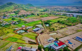 Đất nền Bắc Vân Phong – con gà đẻ trứng vàng