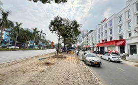 LIỀN KỀ GELEXIMCO – 90m2, MT 6M, 4 LÀN Ô TÔ, KINH DOANH, 19 TỶ
