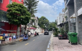 BIỆT THỰ XANH 4 TẦNG – 240M² – NGAY TRỊNH QUANG NGHỊ – CHỈ 24 TỶ