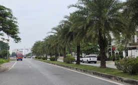 ĐOÀN KHUÊ 34 tỷ 90m ĐẤT VỈA HÈ Ô TÔ KINH DOANH ĐỈNH,LONG BIÊN