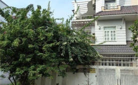 Biệt Thự Khang An Phú Hữu, 8x21m, sổ hồng giá rẻ