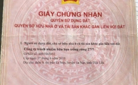 200 Hecta Đất Nông Lâm H. Ea Sup, Mặt Tiền QL 29, Giá Đầu Tư chỉ 25 tỷ