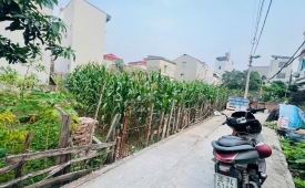 ???? BÁN ĐẤT PHƯỜNG PHÚC LỢI - LONG BIÊN ????