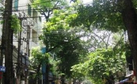 Cho thuê nhà 85m2x4tầng mặt phố Hàng Bún