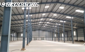 CHO THUÊ HOẶC BÁN ĐẤT THỔ CƯ BÌNH CHÁNH