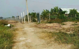 Bán đất nhánh kênh 8 xã Tân An Hội huyện Củ Chi TP.HCM