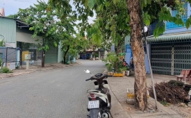 BÁN GẤP LÔ ĐẤT MT HẺM NHỰA 8M – GẦN CHỢ ĐẠI HẢI, XÃ BÀ ĐIỂM – HÓC MÔN