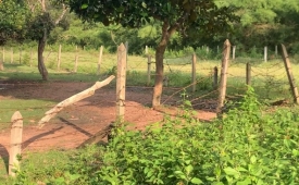 đất sào có sẵn vườn mít 1 năm tuổi và 100m2 thổ cư giá 240tr