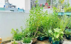 SIÊU PHẨM TÂN BÌNH – NHÀ 3 TẦNG GIÁ CHỈ 4,6 TỶ