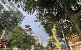 LẠC LONG QUÂN NGÕ THÔNG KINH DOANH DÂN XÂY 50/55M GIÁ 8 TỶ 699